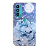 Peňaženkové kožené puzdro 3D Painted Pattern na Motorola Moto E20 / E30 / E40 - Moon Wolf